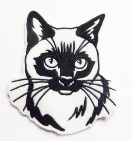 Chat 1