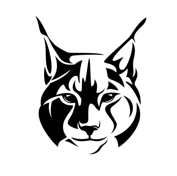Lynx 1