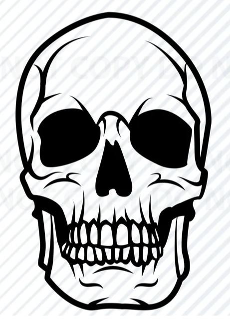 Tête de mort 3